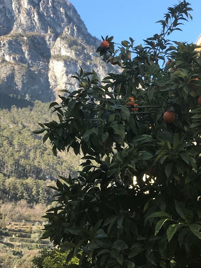 Casa Nika Apartment Riva del Garda Bagian luar foto